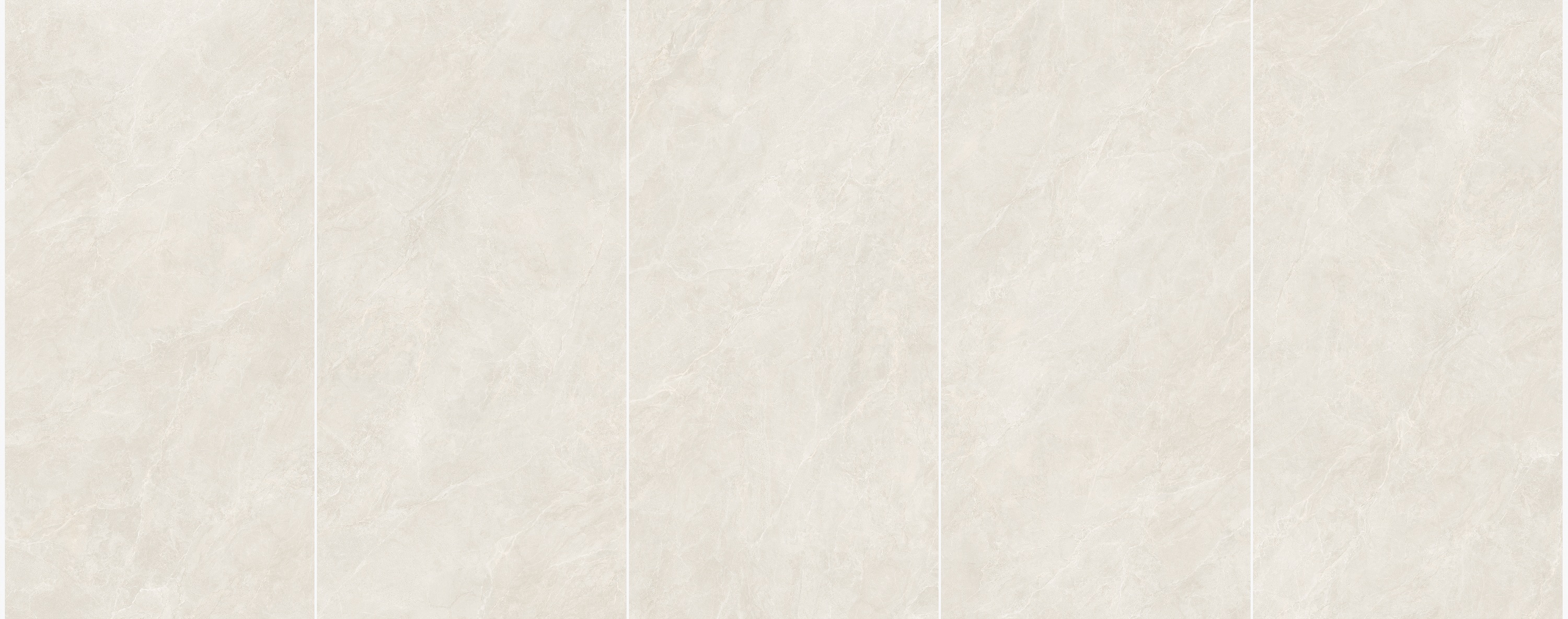 715L555.jpg