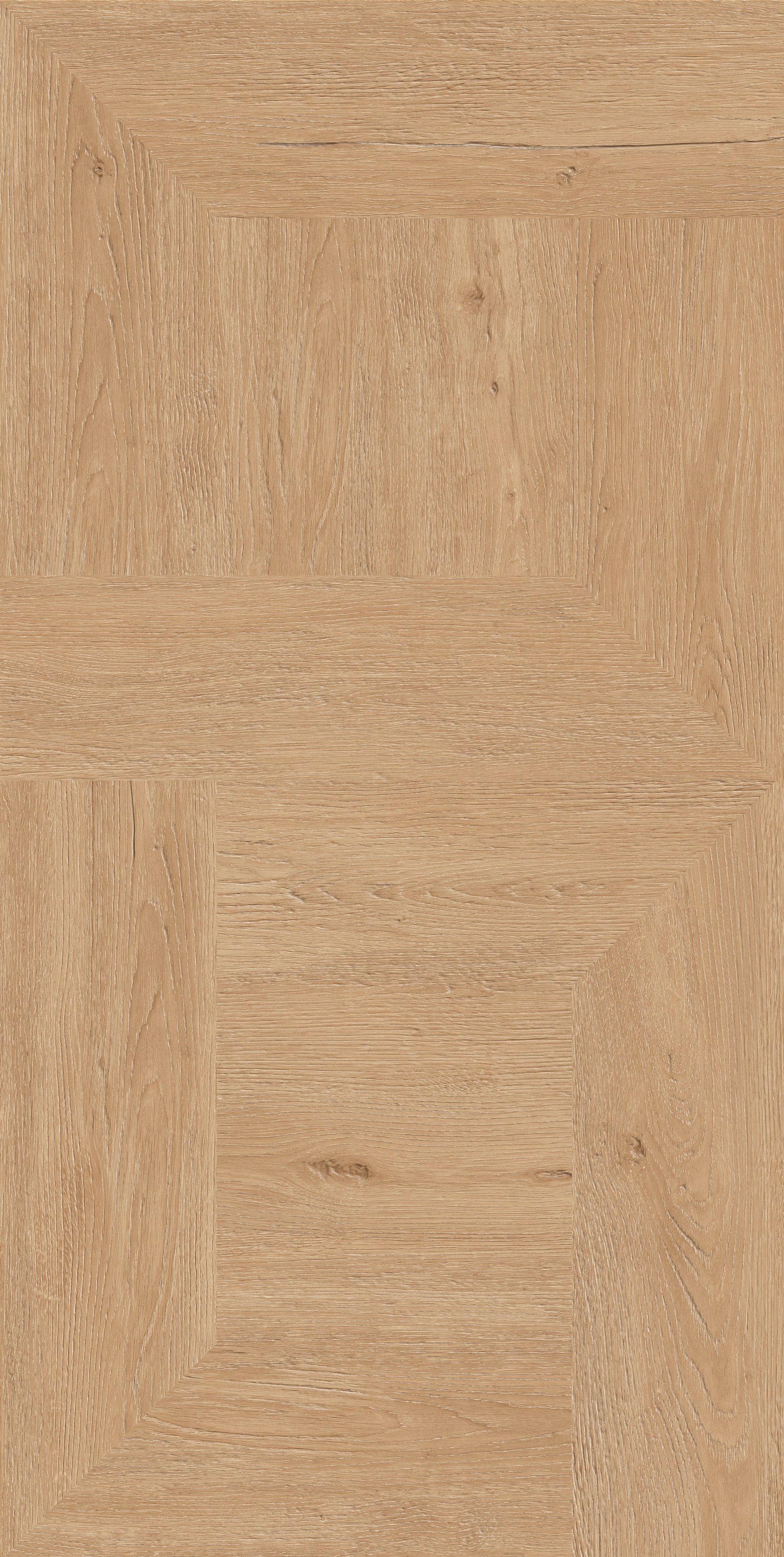 612TEX718_09.jpg